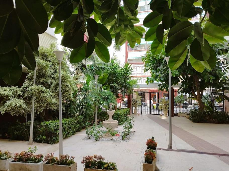 Cullera Mar Apartment ภายนอก รูปภาพ